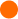 Circle Icon
